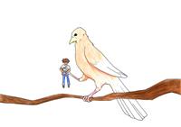 Illustration / Visualisierung