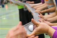 Sparky Challenge 2017