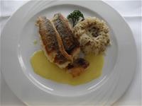 Duett von Dorade mit Risotto